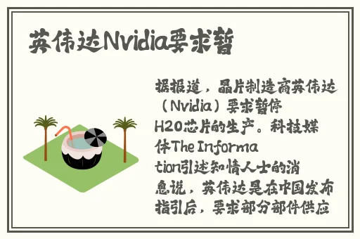 后妈的春天阿旺是好是坏